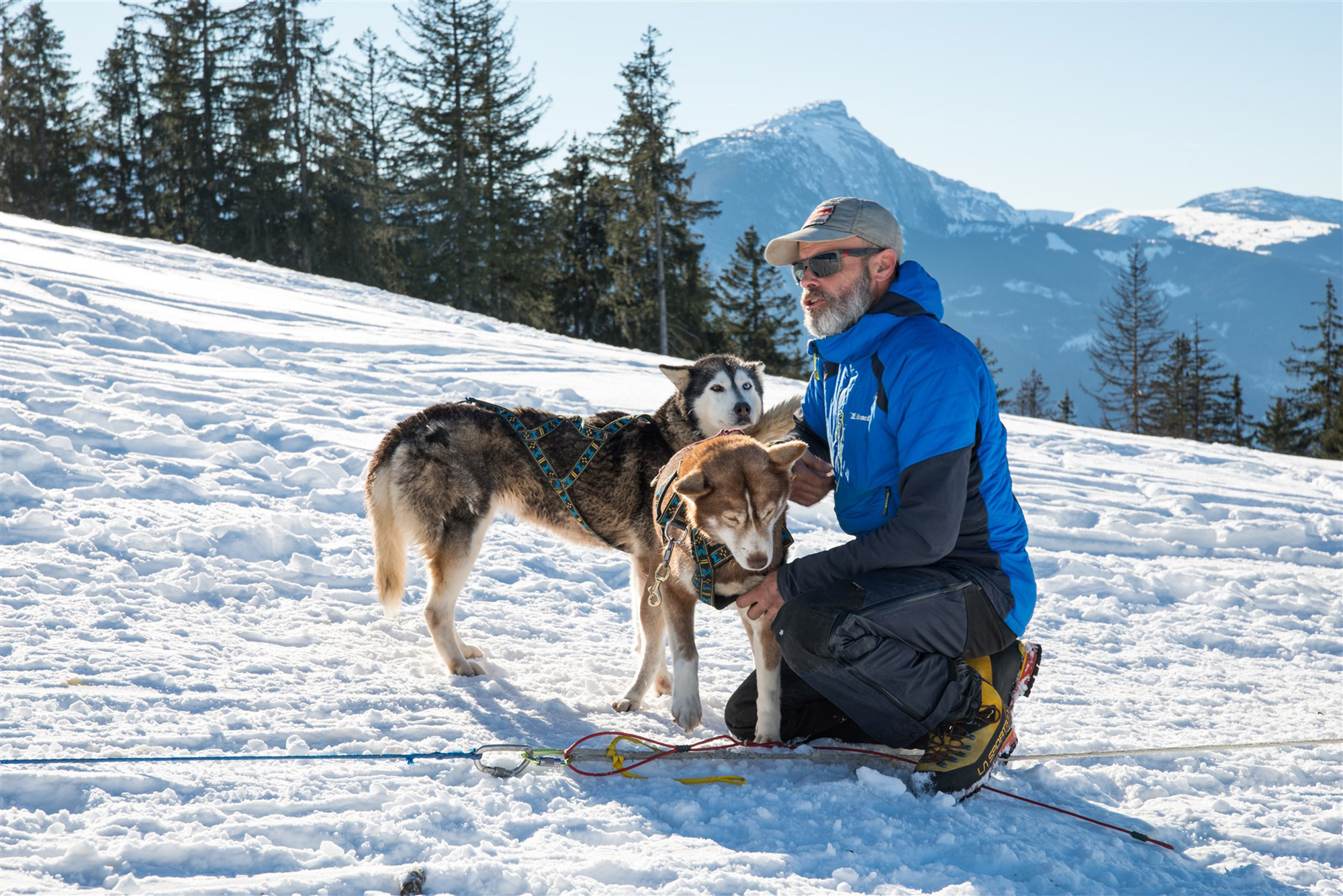 plateau d'Agy - Saint-Sigismond, Les Carroz - musher, balade chiens de traîneau - Haute-Savoie - Cluses Arve et Montagnes